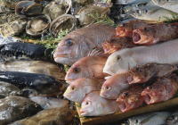 �����C���[�W